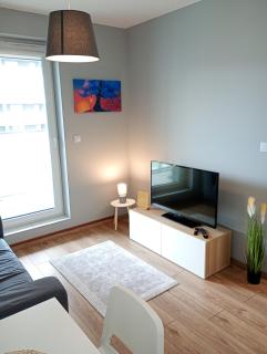 VIP Apartamenty Witolda - Rzeszów - 3