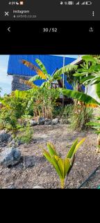 michamvi mangrove cabin - Michamvi - 8