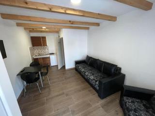 Studio - Sokobanja - 7