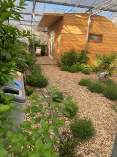 Luxurious Tiny House with HotTub - Rijsenhout - 0