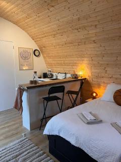 Luxurious Tiny House with HotTub - Rijsenhout - 6
