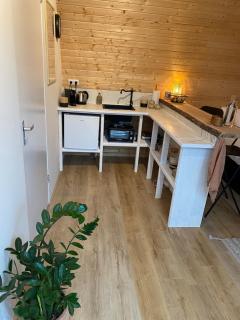 Luxurious Tiny House with HotTub - 9