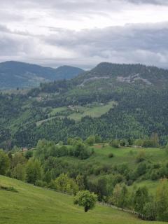 Refugiu de munte - Albac - 6