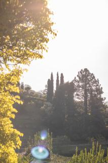 Huberhof Meran - Meran - 6