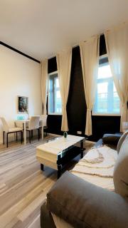 Amazing Modern Studio Near AKH - Viena - 6