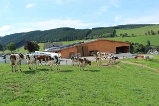 Ferienbauernhof Gördes - Schmallenberg - 7
