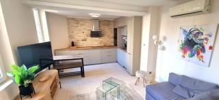 ! Magnifique Triplex climatisé Avec Sauna Cœur De Ville ! - Metz - 8