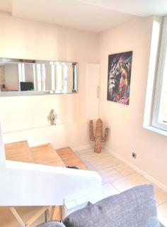 ! Magnifique Triplex climatisé Avec Sauna Cœur De Ville ! - Metz - 5