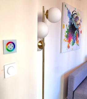 ! Magnifique Triplex climatisé Avec Sauna Cœur De Ville ! - Metz - 3