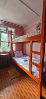 Cafe and Stay Hostel - Darjeeling - 9