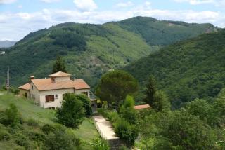 Chataigniers - Juvinas - 0