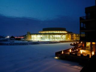 DAS LANDHAUS KLAMBAUER - APARTMENTHAUS Prämiumpartnerbetrieb St MartinsTherme - 1