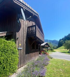 Chalet La Grange - Seytroux - 2