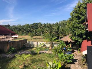 kunang kunang - Tetebatu - 7