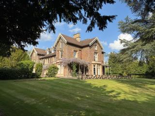 The Beeches - Entire Mansion - Bristol - 0