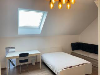 New appartement - Turckheim - 5