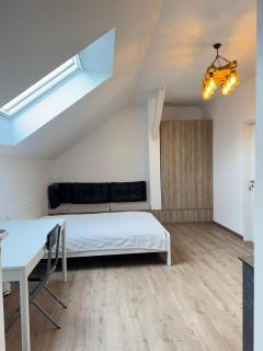 New appartement - Turckheim - 4