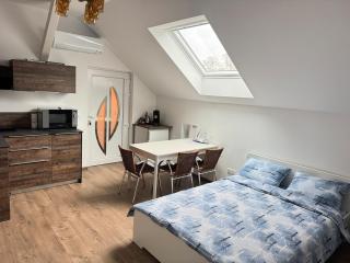 New appartement - Turckheim - 2