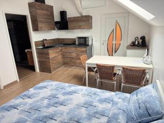 New appartement - Turckheim - 1