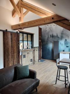 Appartement neuf Le Grenier d'Oscar - La Bresse - 7
