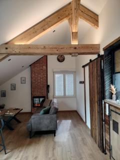 Appartement neuf Le Grenier d'Oscar - La Bresse - 6