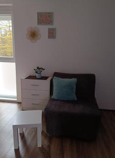 Studio Tara Divčibare - Divčibare - 6