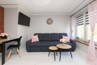 Jasne Studio Pet-Friendly w Łebie by Noclegi Renters - Łeba - 0