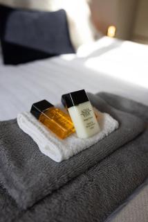 1BR w Sofa Bed Private Yard - 6