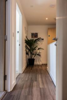 Amazing 2BR Apt Sofa Bed - Exmouth - 1