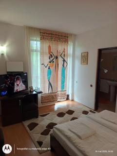 Pensiunea Casa Soarelui - Cisnadioara - 3