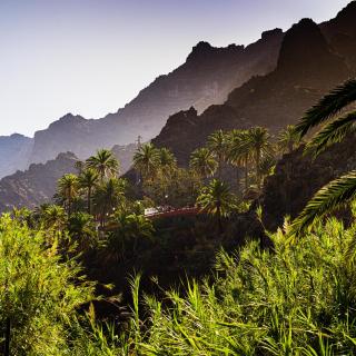 Casa Palmar by Paramount Holidays - Valle Gran Rey - 8