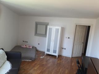 Canary Wharf Room in a flat - Moffat - 2