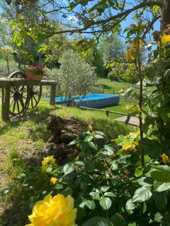 Il Roseto - - 8