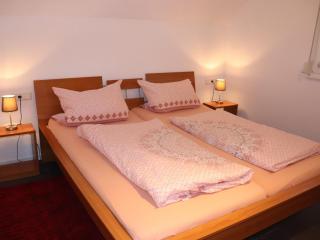 Ferienwohnungen Braun - Seelbach - 1
