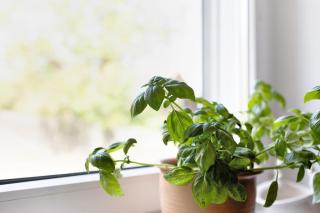 Unser Ferienhaus Sonnenhof Reudnitz - 2