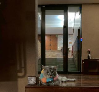 Polkadot Hostel - Phitsanulok - 5