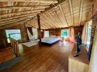 Forest Cabin Nature Retreat - Rionegro - 6