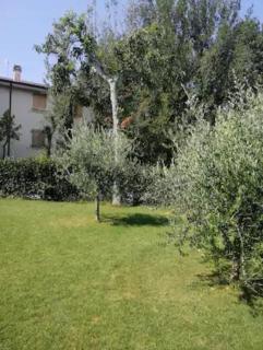 Il Casolare tra i Calanchi - Ripaberarda - 7