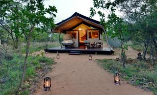 Safari Plains - Mabula - 2