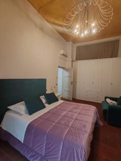 Corte Pini Deluxe Apartment in historic center of Lucca - Lucca - 9