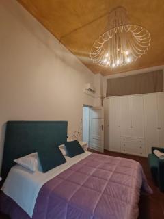 Corte Pini Deluxe Apartment in historic center of Lucca - Lucca - 4