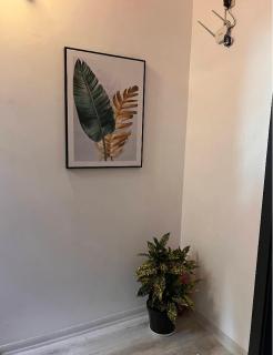 White Inn Taksim - Istanbul - 1