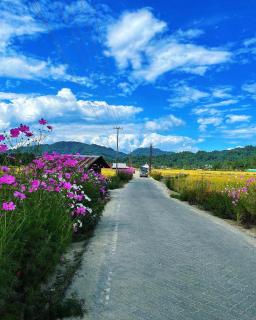 KB Homestay,Pai Road ,Ziro - Hāpoli - 9