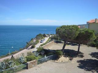 Appartement lumineux 2 pièces avec vue mer, parking et Wifi à Banyuls-sur-Mer - FR-1-225C-16 - Banyuls-sur-Mer - 8