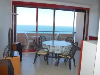 Appartement lumineux 2 pièces avec vue mer, parking et Wifi à Banyuls-sur-Mer - FR-1-225C-16 - Banyuls-sur-Mer - 6