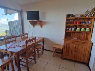 Studio Chaleureux 4 Pers avec Terrasse - Saint-Michel-de-Chaillol - FR-1-393-52 - Saint-Michel-de-Chaillol - 5