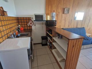 Studio Chaleureux 4 Pers avec Terrasse - Saint-Michel-de-Chaillol - FR-1-393-52 - Saint-Michel-de-Chaillol - 4