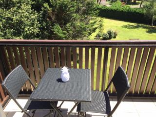 Appartement Biscarrosse - Centre-ville, terrasse, au calme - agréable, tout confort - 4pers - Biscarrosse - 3