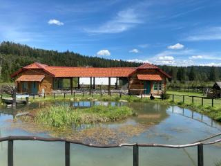 Camping in Nature of Nišići, Empty Lots - - 0