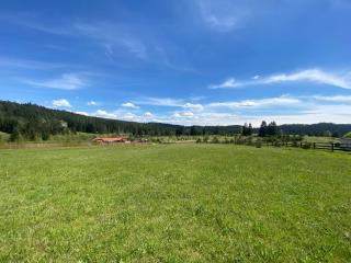 Camping in Nature of Nišići, Empty Lots - - 4